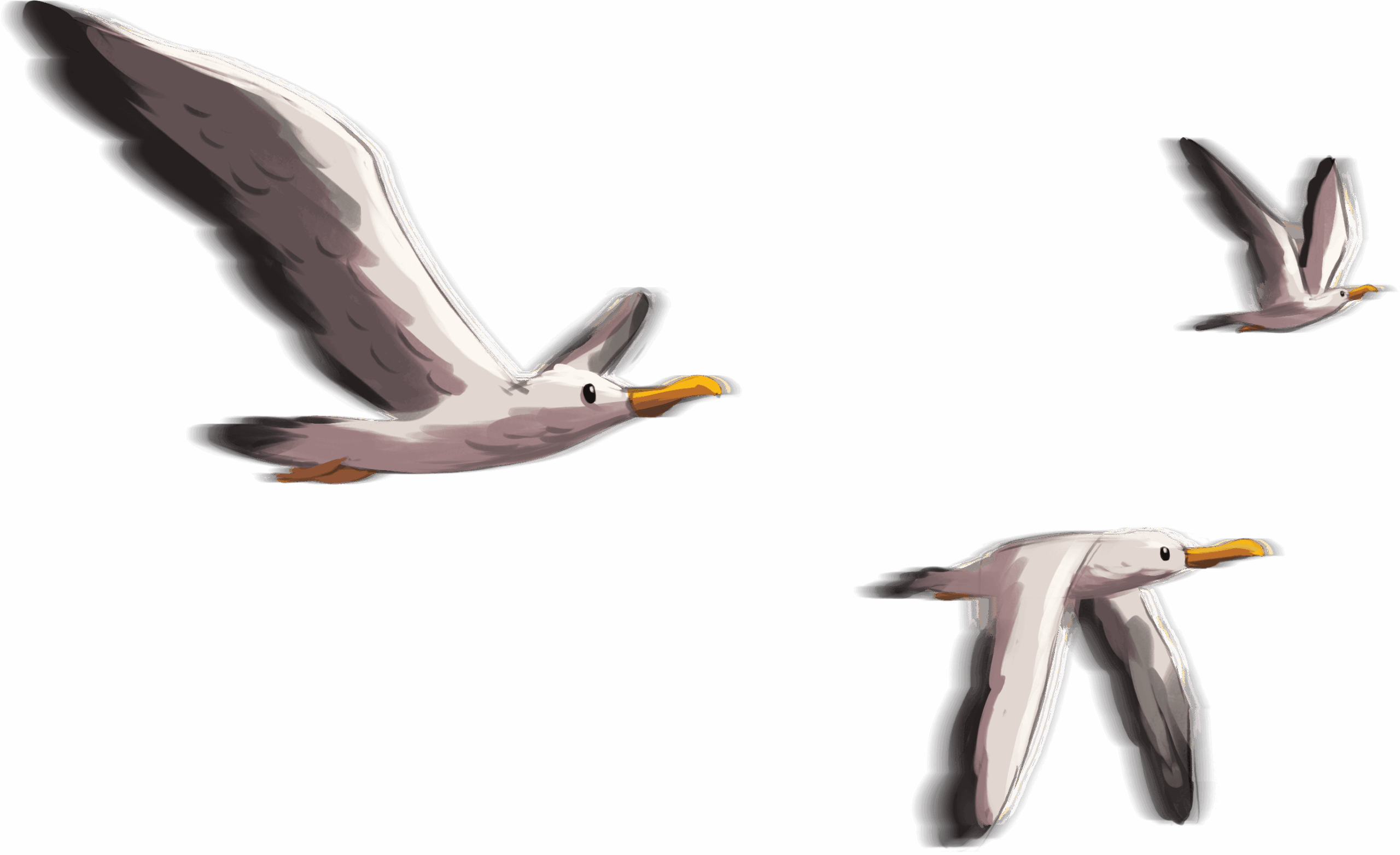 mouettes-illustration-Yvan-Tesi-Artesi